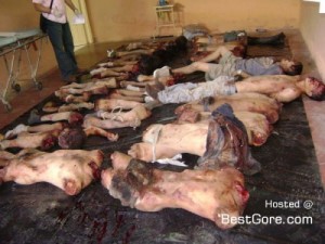 mexicodrugwarsbodiesimage1