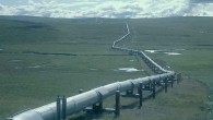 . . . Once again, the blatantly biased and morally bankrupt Orange County Register has gotten it totally wrong!  (“Politics of Pipeline Denial,”  January 20, 2012.)  Despite the mindless babble...