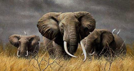 elephants kipling