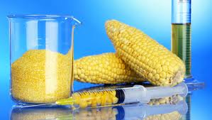 Yesterday I was shopping in Sprouts and I was in the produce section when I noticed they just got in a shipment of fresh corn. I then remembered reading an...