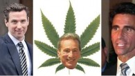 Looking for a few good Hemp-and-Cannibis-Friendly Democrats!!! . This was passed on to us by old Orange Juice friend and Democratic cannabis warrior John Paul Lucas, who has NOT YET BEGUN TO FIGHT on this important issue! ...