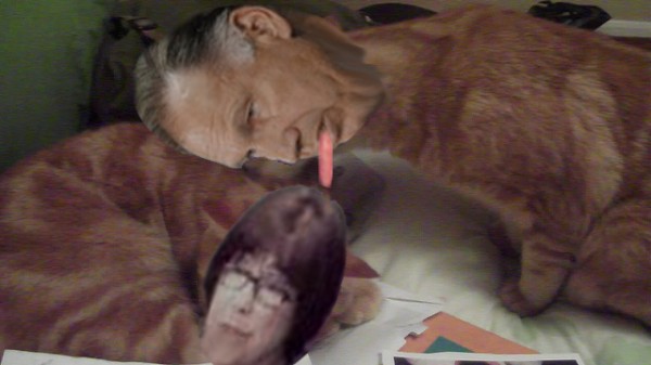 Rackauckas Kring Tongue Bath Rackauckas Kring Tongue Bath