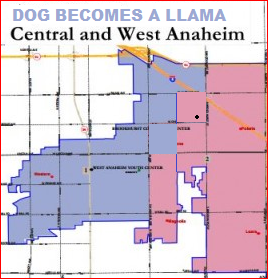 Anaheim Maps - Dog Becomes a Llama