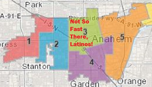 Guess which Anaheim flatlands district won't get to vote on its representative in 2016?