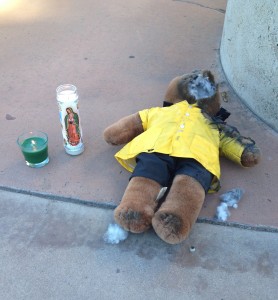 teddy bear mutilation