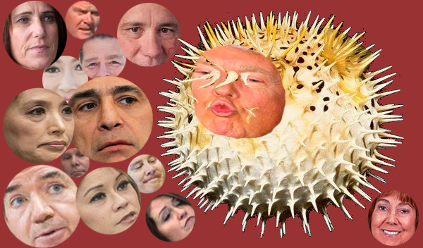 Row 1: Mimi Walters, Steve Mensinger, Don Wagner; Row 2: Kim Ho, Steve Lodge; Row 3: Young Kim, Darrell Issa; Row 4: Larry Bennett, Jim Fitzpatrick; Row 5: Ed Royce, Ling Ling Chang; Jennifer Fitzgerald; Lucille Kring