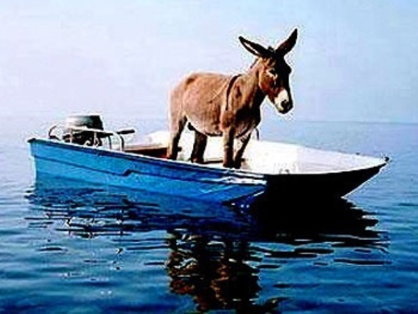 No offense intended to Republicans; we looked, but we could not find a picture of an elephant in a small boat.