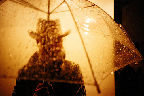 So… well, OK, Long Story Short. At our weekly Orange Juice staff meeting yesterday it kept coming up how, despite the fact that Proposition 8 is SO important to the [&hellip;]