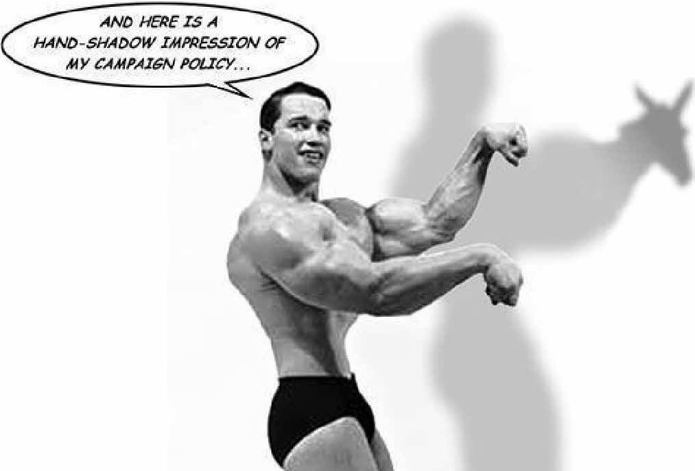 (Picture Courtesy of this site) Media pundits are betting that moderate Republicans like California Governor Arnold Schwarzenegger will lead the GOP out of the hole they have dug themselves into, […]