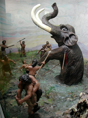 In a surprising move Pam Keller and Sharon Quirk performed a U turn at last night’s council meeting on the subject of commission appointment process. At the “first reading” of a new ordinance […]