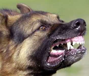   In the year 1992 Fullerton’s City Manager Bill Winter was just about out of gas. He had been running on fumes for quite a while and figured it was […]