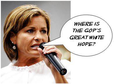 You just can’t make this stuff up…more evidence that the GOP is imploding: A Republican congresswoman from Kansas is issuing a great big apology for saying the GOP is searching […]