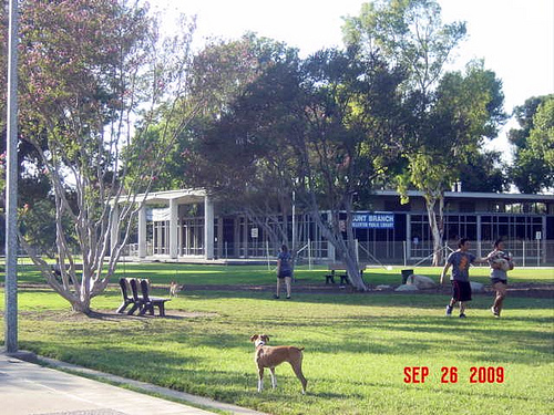The City of Fullerton has proven to be a faithless custodian of a modern architectural gem. I have come to the conclusion that the best fate of the building that has […]