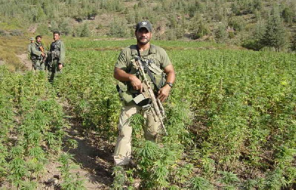 Although I must admit that we are losing the war against drugs I see that there are three + Initiatives underway in CA to “legalize, regulate and tax” Marijuana which […]