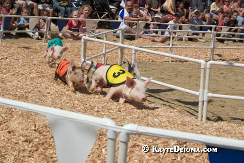 I know I have been a harsh taskmaster and it’s been hard to keep up with the daily projects I’ve been giving you to stop the sale of our Fairgrounds.  […]