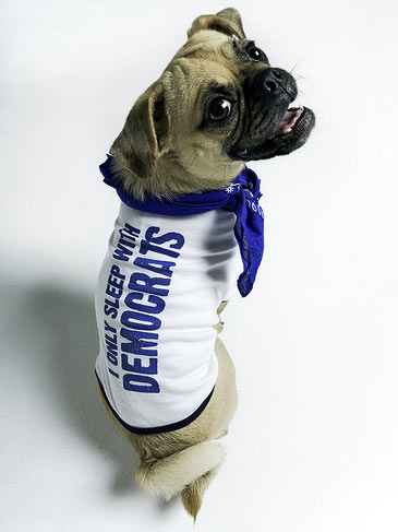 Thought I might share this email from a friend. I have altered it based on our having two male Cavaliers living with us. Our dogs sleep about 20 hours a [&hellip;]