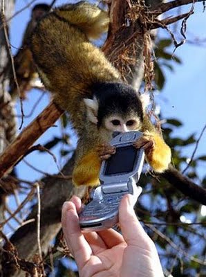 Technology often represents a double edged sword. While we can walk down any street or go to the local mall you will find kids as young as 10 to senior [&hellip;]