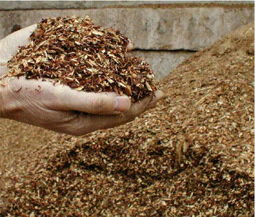 Guest commentary. Earth Day in Mission Viejo For the past several years the City of Mission Viejo in conjunction with Earth Day and other city celebrations has “provided” free mulch […]