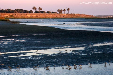 . . . [photo by kind permission of Richard Wong] My friend Connie Boardman of the Bolsa Chica Land Trust writes: HB Planning Commission may change open space zoning at […]
