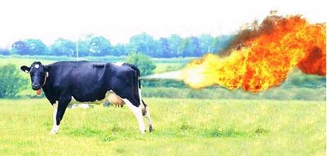 Are cow farts destroying the environment? “Numbering nearly 1,000 pages after eight months of negotiating, the “discussion draft” of the American Power Act was dropped into an election-year atmosphere in [&hellip;]
