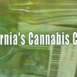 California's Cannabis Culture from amanda van west on Vimeo. I received an email this week from Amanda Van West, who is finishing her MA degree in International Broadcast Journalism at […]