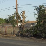 Todd Warden wrote in to tell us how the unsightly drainage ditch along Malvern/Chapman avenues is becoming further uglified by the city without regard for the surrounding neighborhood or the […]