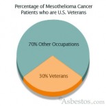 The United States Armed Forces has a long history of asbestos use. The health of military veterans from all divisions is at risk due to their service-related asbestos exposure. Those […]