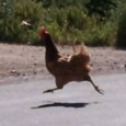 . . . By The Desert Rat When I was a kid, liberals were all about civil rights, social justice, anti-police corruption, women’s rights, etc., etc., etc. Maybe professorial tenure, […]