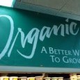 Right now, the biotech and food companies are telling us that, if we want to make sure we aren’t eating GMOs, we should simply buy organic foods. However, a recent [&hellip;]