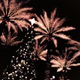 I’d like to wish all of you a very merry Christmas.  We all have our own way of celebrating this holiday season.  While our “reason for the season” might not […]