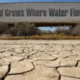 California is experiencing the most severe drought in history. Ninety-five percent of California is listed as “extreme drought.” This  didn’t happen over night and anyone who pays even a little […]