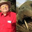 . . .   Anaheim map-maker Oscar Reyes, whose submitted map is now the official recommendation of the panel of judges, has a post up on Chumley’s painful blog; I’m […]