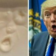 . . . Where is “60 minutes” when we really need them?  Who might be the right folks to do a really incisive Donald Trump interview?  We keep trying to […]