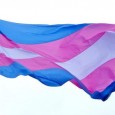 . . .   Since California’s gay, lesbian and bisexual communities have won most of their rights and freedoms, the transgender and gender non-conforming community are next in line to […]