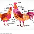 . . . Gung Hay Fat Choy! Chúc Mừng Năm Mới!  And Happy Lunar New Year in several other East Asian languages that we aren’t going to look up. This is […]