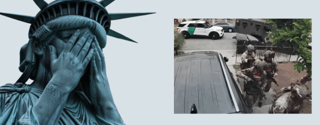 A police force can at least VET these alleged ICE invaders.