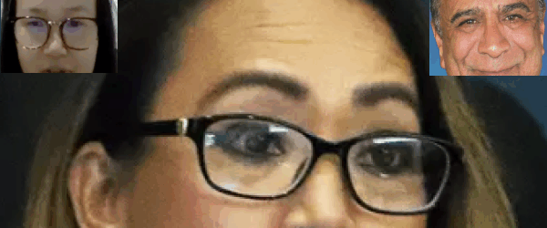 Amy Phan West is only the latest example  out of Spitzer's wrist-slap factory for crooked pols.
