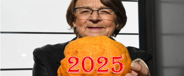 Terrible year for everybody except the very rich, some good stories though!