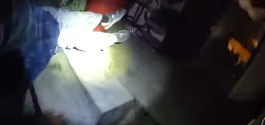 A lot of new stuff here - watch how quickly and rashly they killed Albert!