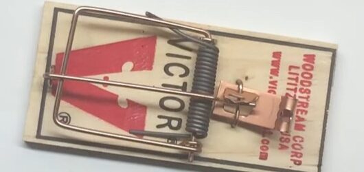 Part 3 of Greg's Top2Pocalypse series... will California get a Democrat governor? Polls aren't looking good!